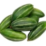 Parval Patal