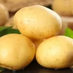 Potato