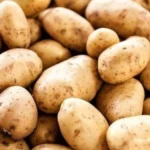 Potato1