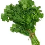 coriander leaves