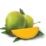 Himshagor1